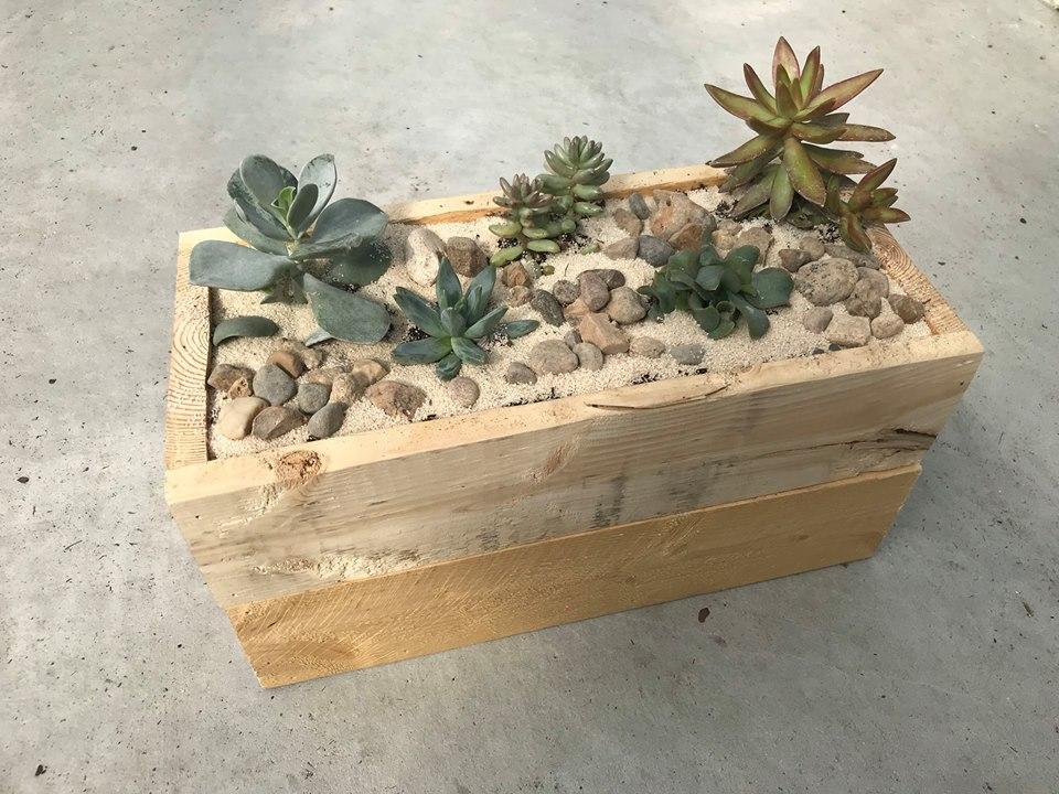 FfaCuba's tweet photo. Don’t forget the greenhouse will be open from 9 am to 2 pm Saturday the 20th. We have these super cute succulent planters available! Shoutout to Paul Taylor for making the planters in wood shop! #greenhouse #woodshop #CubaFFA https://t.co/C0Cygj5Usv