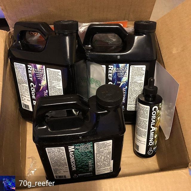 Brightwell_Aqua's tweet photo. Everybody loves getting shipments right?
Thanks for tagging us @70g_reefer!
#brightwellaquatics #reefcode #eatsleepreef #allmymoneygoestocoral #aquariumsupplements #aquariumadditives #aquariumhobby #mixedreef https://t.co/bs1WcGe6Kp https://t.co/XFIqRvDxsZ