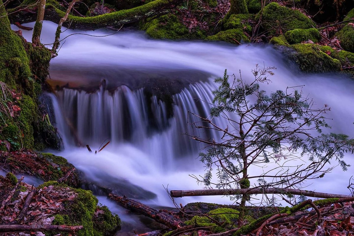SimonSchuster7's tweet photo. Waterfall Black Forest Germany https://t.co/00HA8aq4K2
