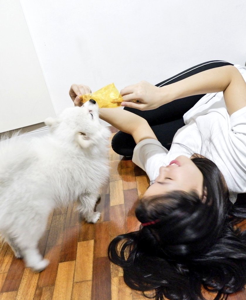 My biggest distraction during rehearsals comes in a small package 😱