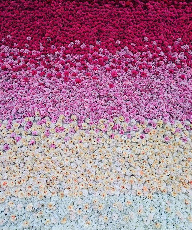 glmindia's tweet photo. A fantastic flower pasted stage (we find this pink-ish backdrop appealing more than anything) for wedding reception at Green Andaaz
.
.
.
.
.
#weddingdiaries #weddimgsutra #ahmedabad_instagram #instagood #instagram_ahmedabad #weddings #receptionstage #in… https://t.co/L9iP0IaYeS https://t.co/VjsP5mbbaN