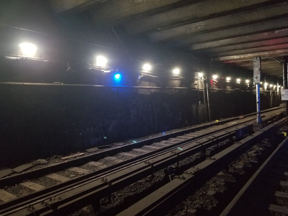 EricsonMfg's tweet image. Need light in dark places? Ericson's Linear #LED Tube #StringLight provides superior illumination in a revolutionary design. #temporarylighting 

Learn more at: hubs.ly/H0hpYVk0