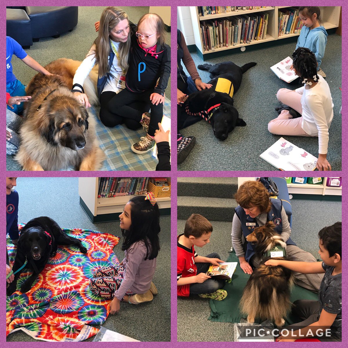 Reading dogs in the library today! <a href="/ArborViewSchool/">Arbor View School</a>
