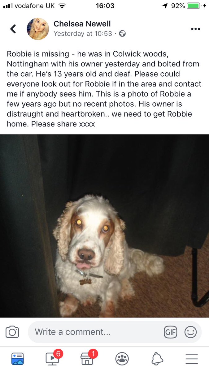 Li3NFFCSh4w's tweet image. Please retweet and spread the word, this little boy is lost &amp;amp; his owner is heartbroken.. help find him 🐶 🙏🏻 #findrobbie #lostdog