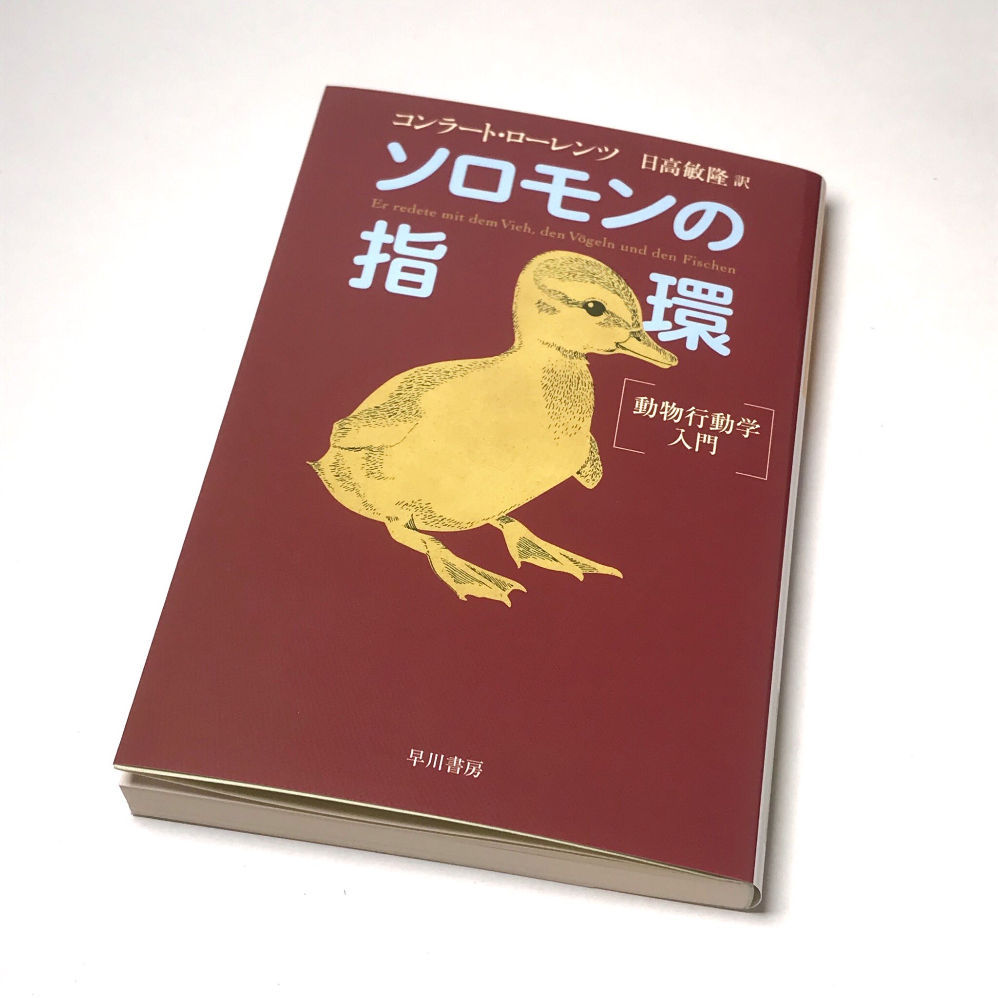 ソロモンの指輪 Twitter Search Twitter