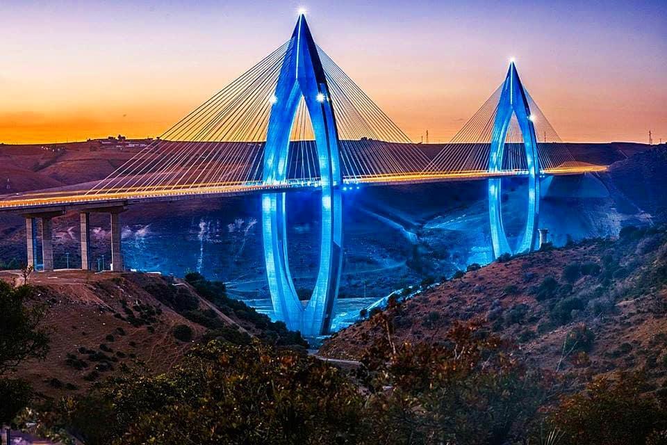 The Mohammed VI Bridge is a cable-stayed bridge that spans the valley of the Bouregreg River near Rabat in Morocco. It is named after the current king of Morocco. 
📸:  fascinating_morocco
#shotfromthegalaxy #nature #travel #grass #dandelion #spring #april #meadow #sky #flower