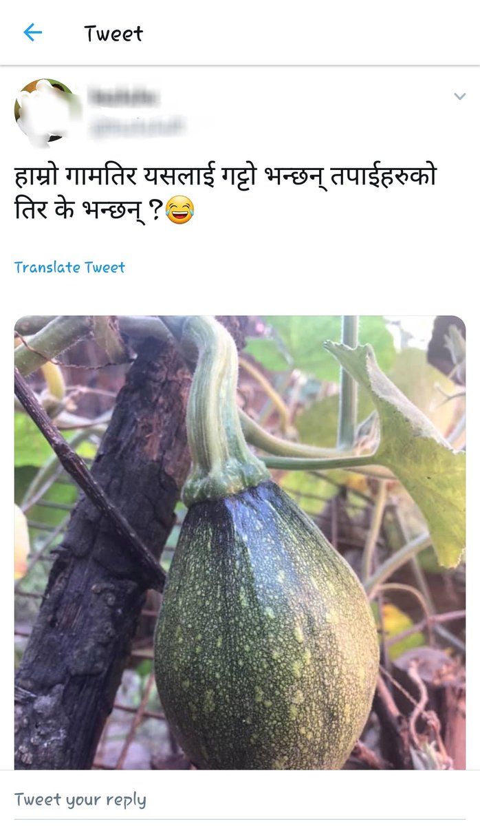 हाम्रो तिर यस्ता Tweet गर्नेलाई पागल भन्छन तपाइहरुको तिर नि ?😂😂😂