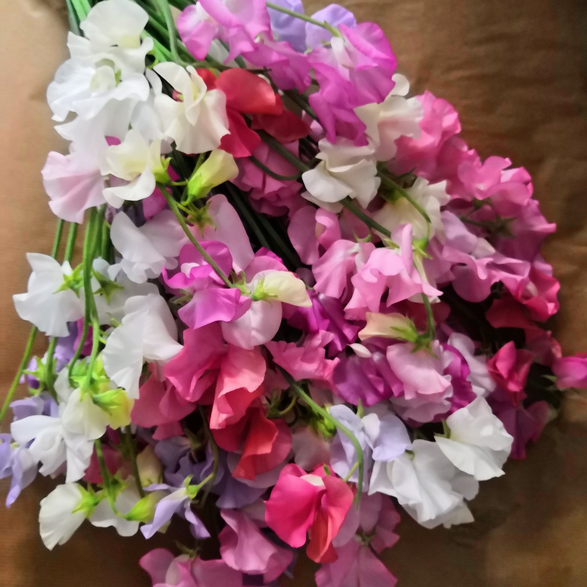 Sweetpeas and sunshine today all ready of Easter weddings #bridalbouquet #britishflowers #scentedflowers