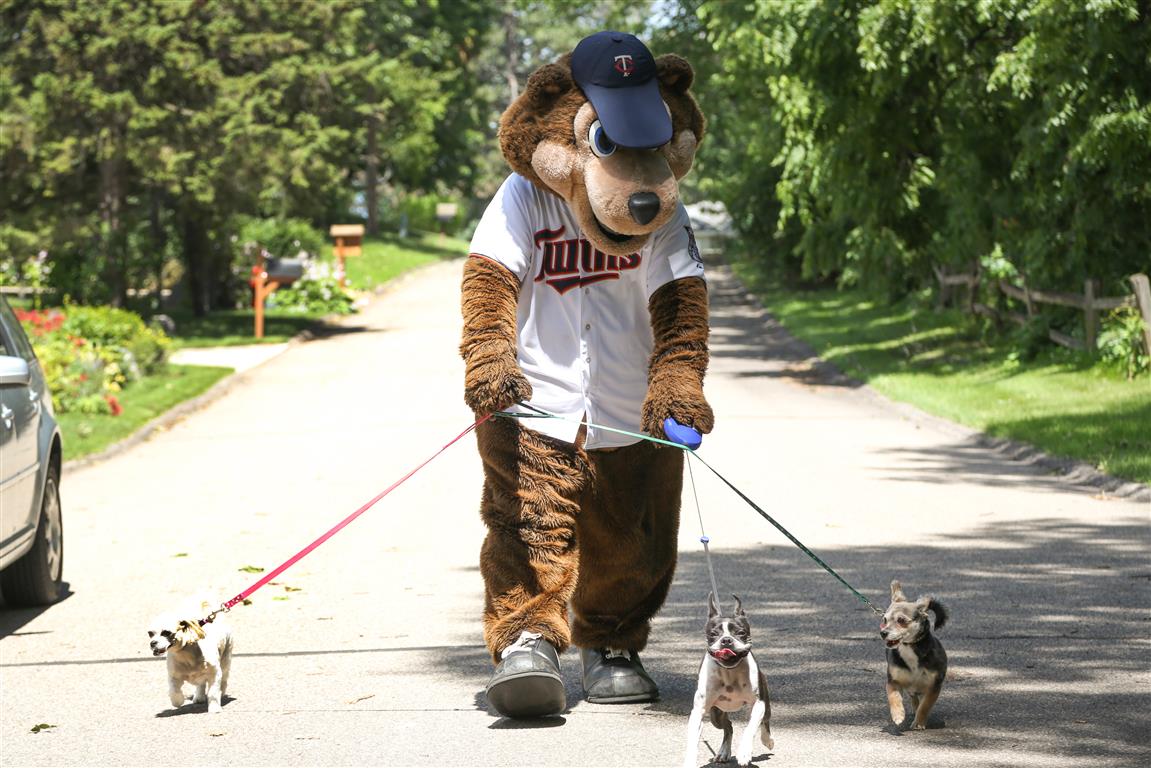 maplegrovemngov's tweet image. Build healthy habits this spring and compete to win prizes, including @Twins tickets. Join the @Hennepin Step to it challenge either individually or as a group. No cost to participate in fun, 4-week program. steptoit.org #StepToIt #MapleGroveMN