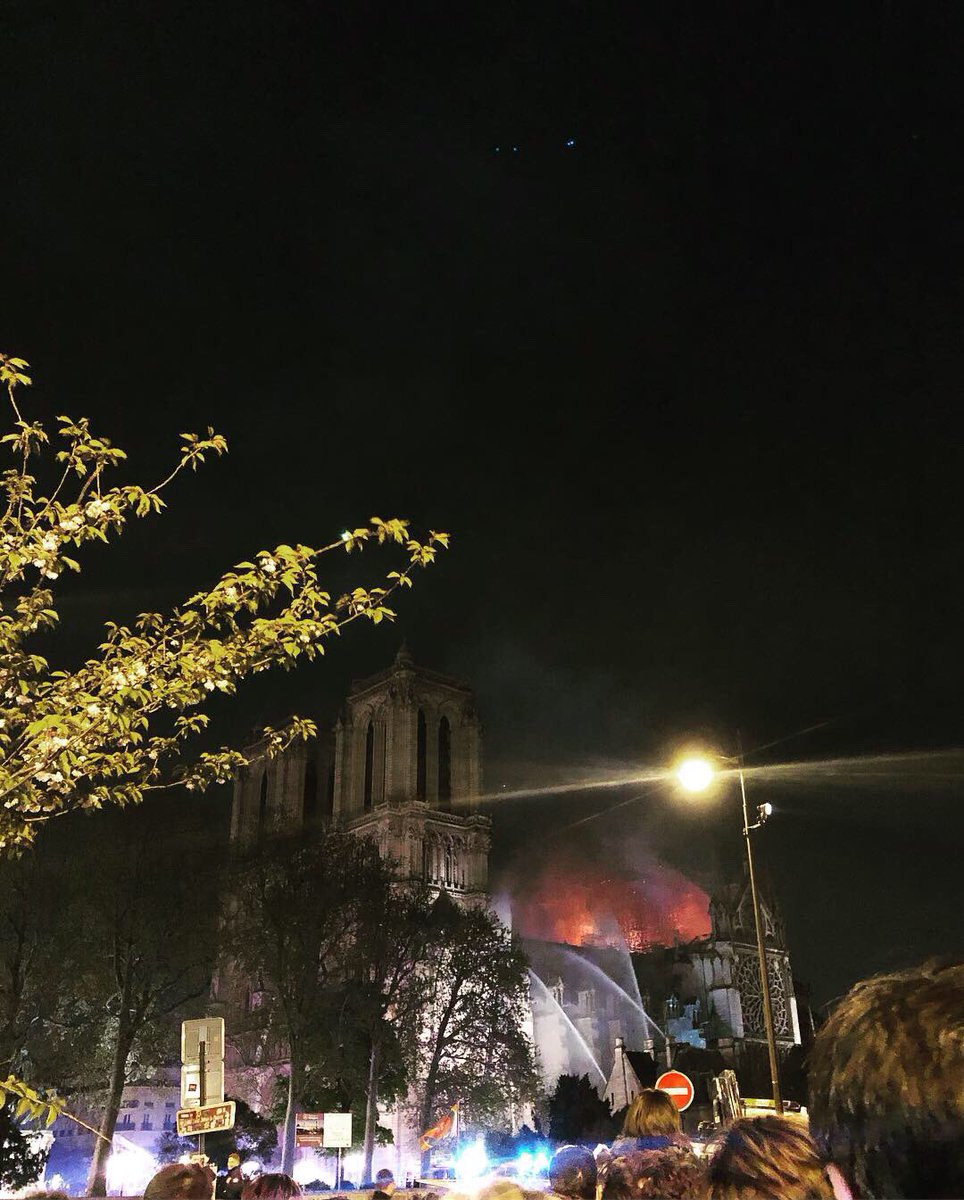 I Dodici tweet media