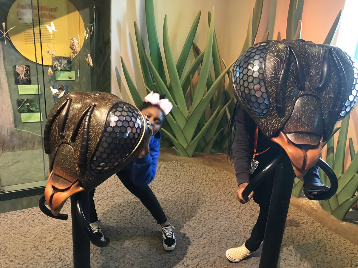 Good times at the NC natural Science museum!