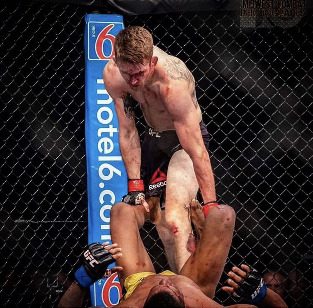 ElevationMMA's tweet image. 1️⃣1️⃣ Days until @cors_life is back in the @ufc cage at #UFCFtLauderdale! ⁣
.⁣
.⁣
.⁣
#ElevationFightTeam #KeepClimbing #MMA #UFC