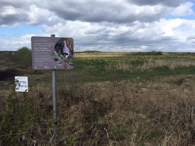 realjoelennon's tweet photo. Brilliant #ProjectLapwing workshop today by @BirdWatchIEβs Kathryn Finney and @RickyWhelan @LoughBooraPark - thanks to @agriculture_ie and @npwsBioData. Great to see Lapwing and Grey Partridge after. https://t.co/LqUicQcge7