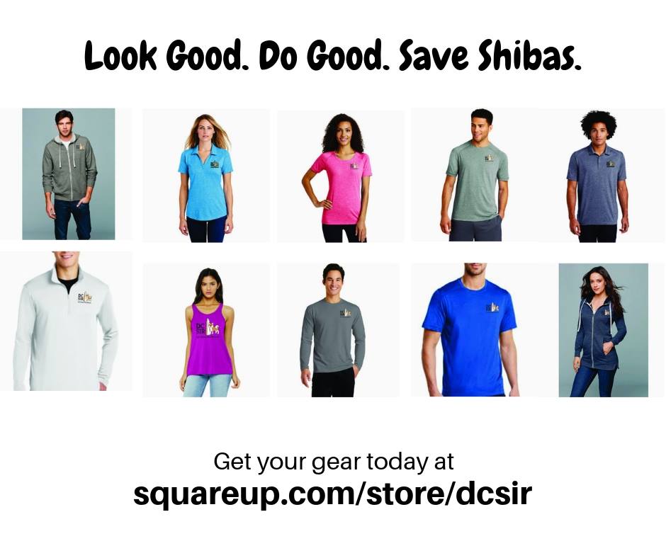DCShibaRescue's tweet photo. WHO'S READY FOR SOME SWAAAAGGGG!!!!!
That's right furiends, #DCSIR's store is open for a limited-time only!
Head over store now to get your #ShibaSaving swag https://t.co/4ccxEBqpSk https://t.co/P8PjLBkixP