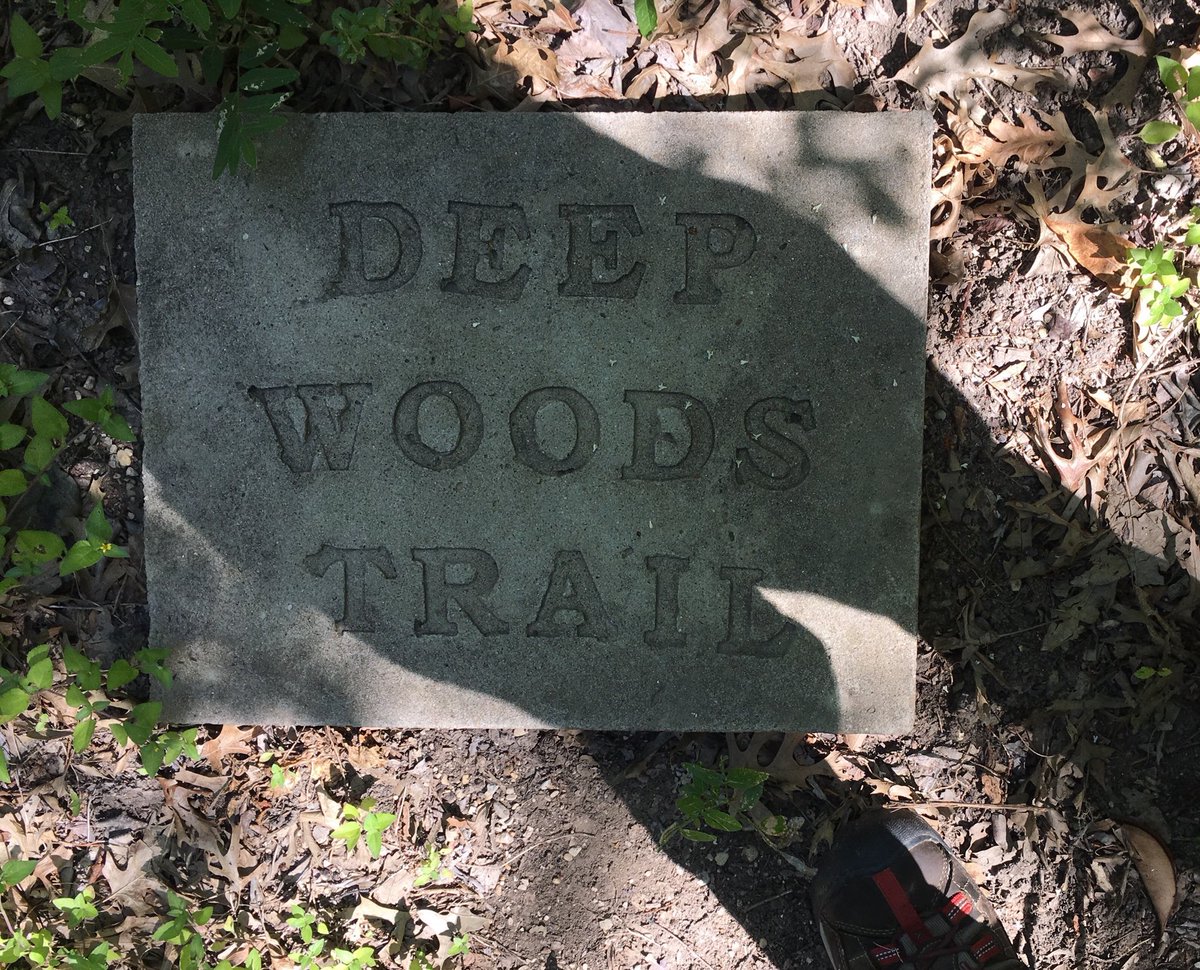 Virginia tweet media