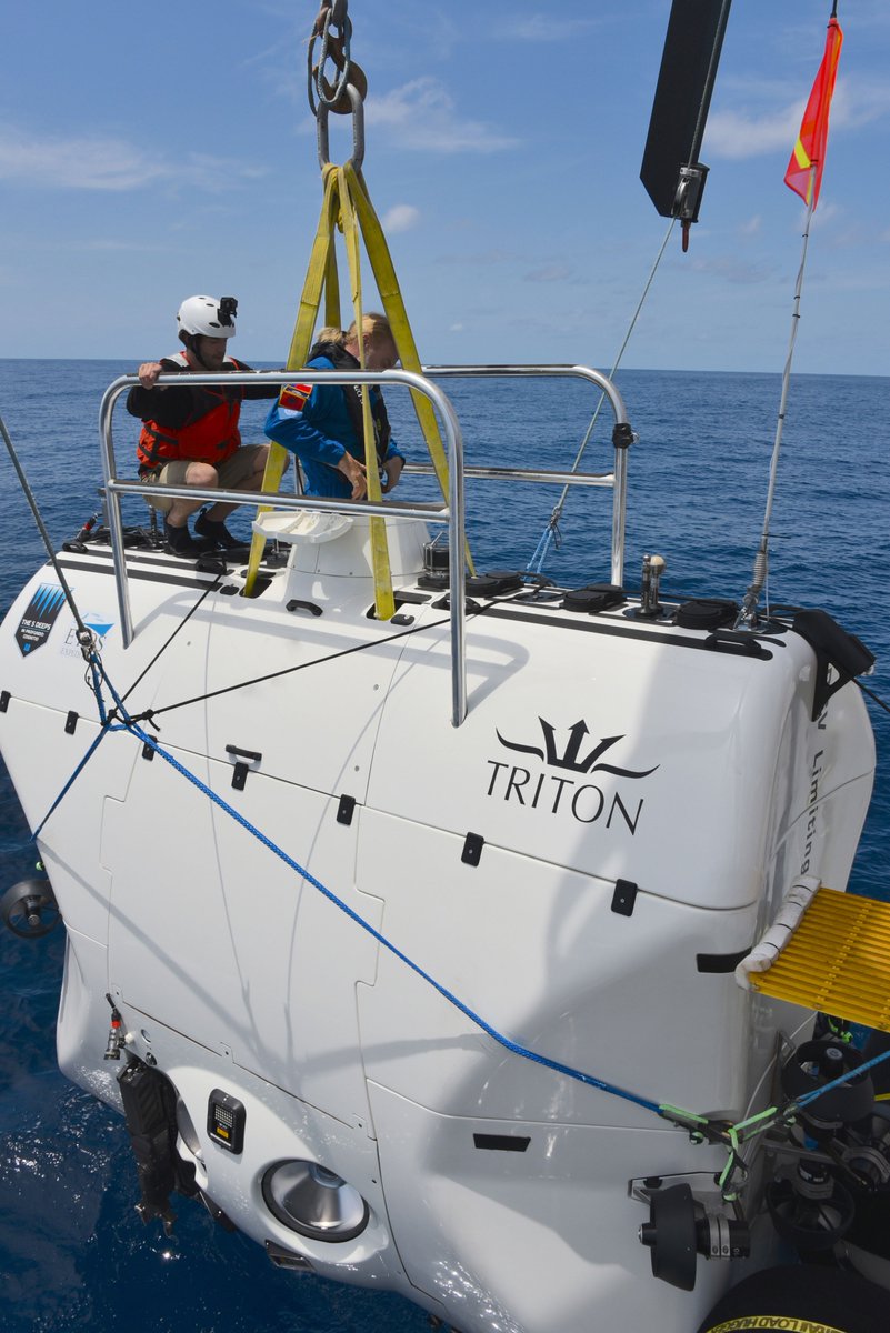ScienceChannel's tweet photo. Congrats to Victor Vescovo and the @FiveDeeps Expedition team on successfully reaching the deepest point of the #JavaTrench in the #IndianOcean, now measured at 23,596 ft. Next up, the #MarianaTrench.🌊🍾 #DeepPlanet #FiveDeeps https://t.co/wjS8R6oIGF