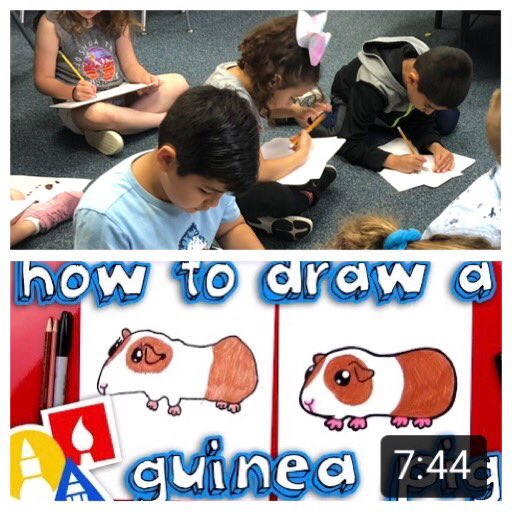 LaMleaders's tweet photo. We had a Guest Guinea today in Kinder! Great directed drawing tutorials on youtube make for high engagement and fine motor practice! We can’t wait to write about our visitor! #nonfictionfun #successatRES #robisonPTO #welovevolunteers #kinderlove #kinderchat https://t.co/LZQV2S5fZz
