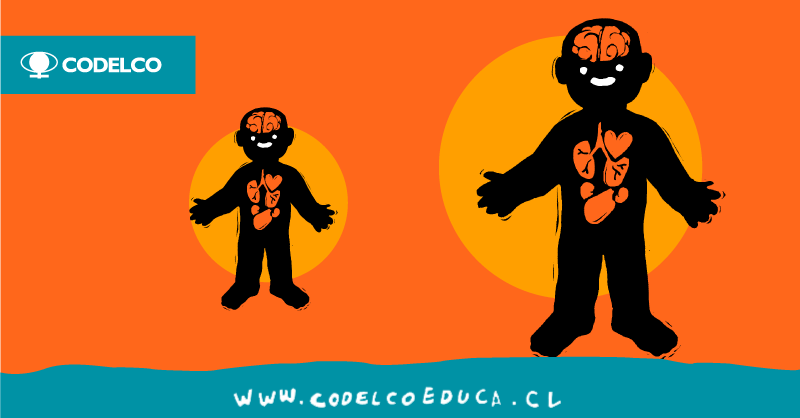CodelcoChile's tweet photo. El cobre está presente en duraznos, papas, pasas, porotos, nueces, maní y chocolates, y en dosis adecuadas, ayuda al buen funcionamiento de tu organismo. Descubre sus propiedades en #CodelcoEduca https://t.co/RrCWykEuje https://t.co/1dRLSr10ms