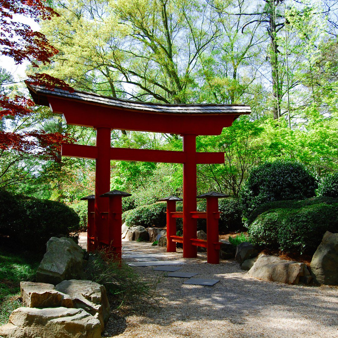 FlyViaAir's tweet image. 🌷 Today is a like a beautiful #Spring day for a stroll through the @BBGardens! 

☀️What are your plans for the day? Tell us below! 
️
#TravelTuesday #BirminghamAL #BirminghamAlabama #Travel #TravelMore #ThingsToDo #TakeATrip #ViaAirlines #FlyViaAir