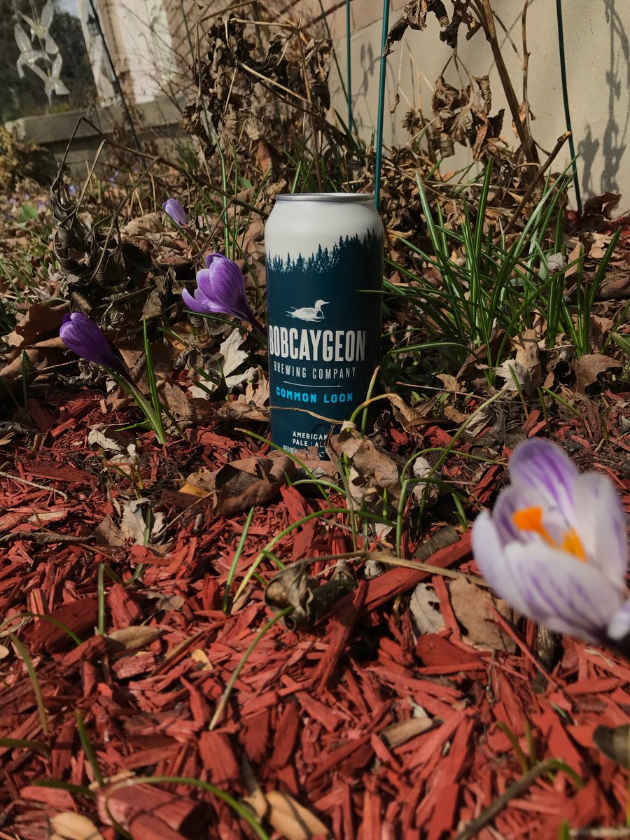 OttBeerFestival's tweet photo. 🌷🍺🍺🌷 Spring flowers are coming and so is the Ottawa Beer Fest. Join us May 10th and 11th inside the Aberdeen Pavilion.
Bobcaygeon Brewing and Muskoka Brewery are just a couple of vendors that will be pouring. #ottbeerfest

https://t.co/woc7vHWxI5 and https://t.co/6WHBJnn9EB https://t.co/iksHySX3wD