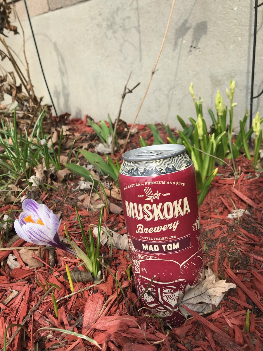 🌷🍺🍺🌷 Spring flowers are coming and so is the Ottawa Beer Fest. Join us May 10th and 11th inside the Aberdeen Pavilion.
Bobcaygeon Brewing and Muskoka Brewery are just a couple of vendors that will be pouring. #ottbeerfest

ow.ly/kw1L50qjKx3 and ow.ly/n8ZA50qjKx4