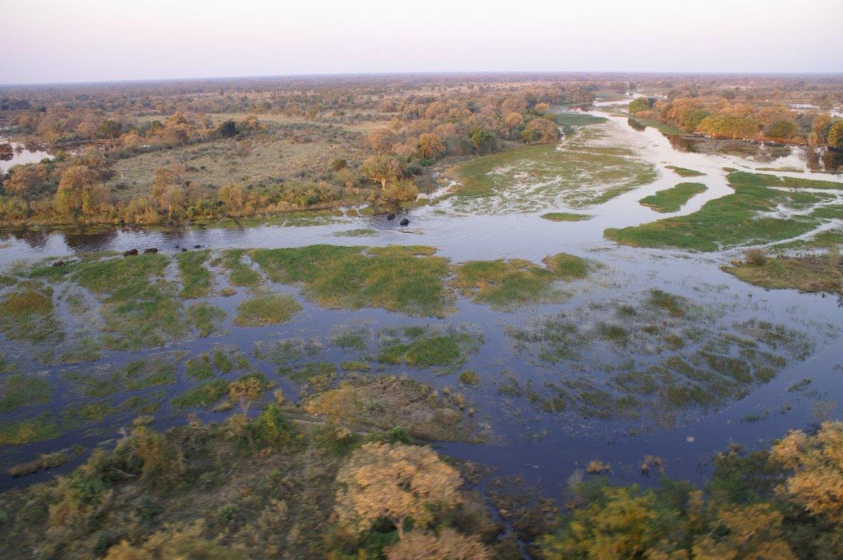 ViajesEspanoles's tweet photo. ¡No te lo pierdas! Descubre Botswana con un safari móvil de 8 días con #AfricaPride ➡ https://t.co/791E2Kynrb #Viajaconespañoles https://t.co/dSD60F6VpU