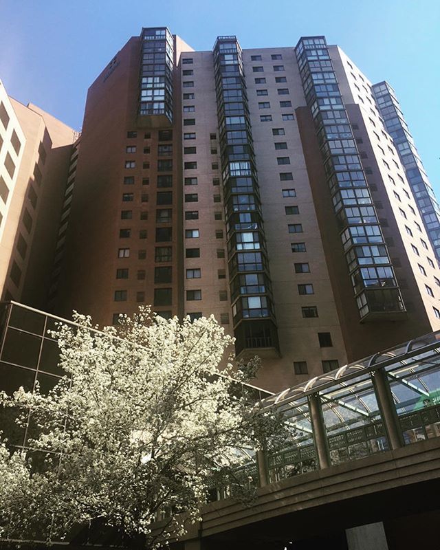 Photo by: @dmvliving365 bit.ly/2V5dvmK