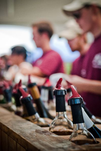 Discounted hotel for guests of the Spring Portfolio Tasting - mailchi.mp/bb7ba249b587/w… #TheWinemakersNJ #NJWine #VisitNJWineries