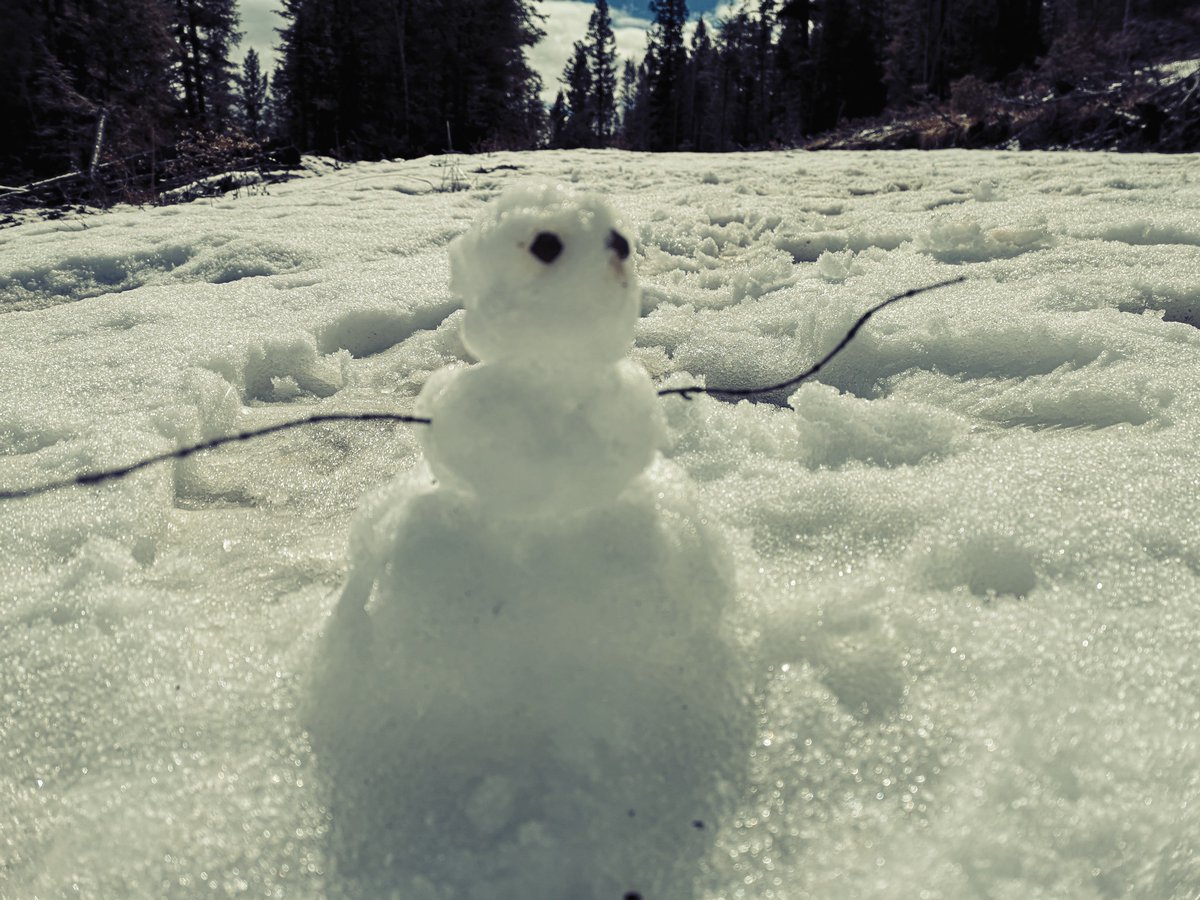 This little guy joined us on a job this past week. What do you think his name should be?

#HummingbirdDrones #drones #theresstillsnowoutthere