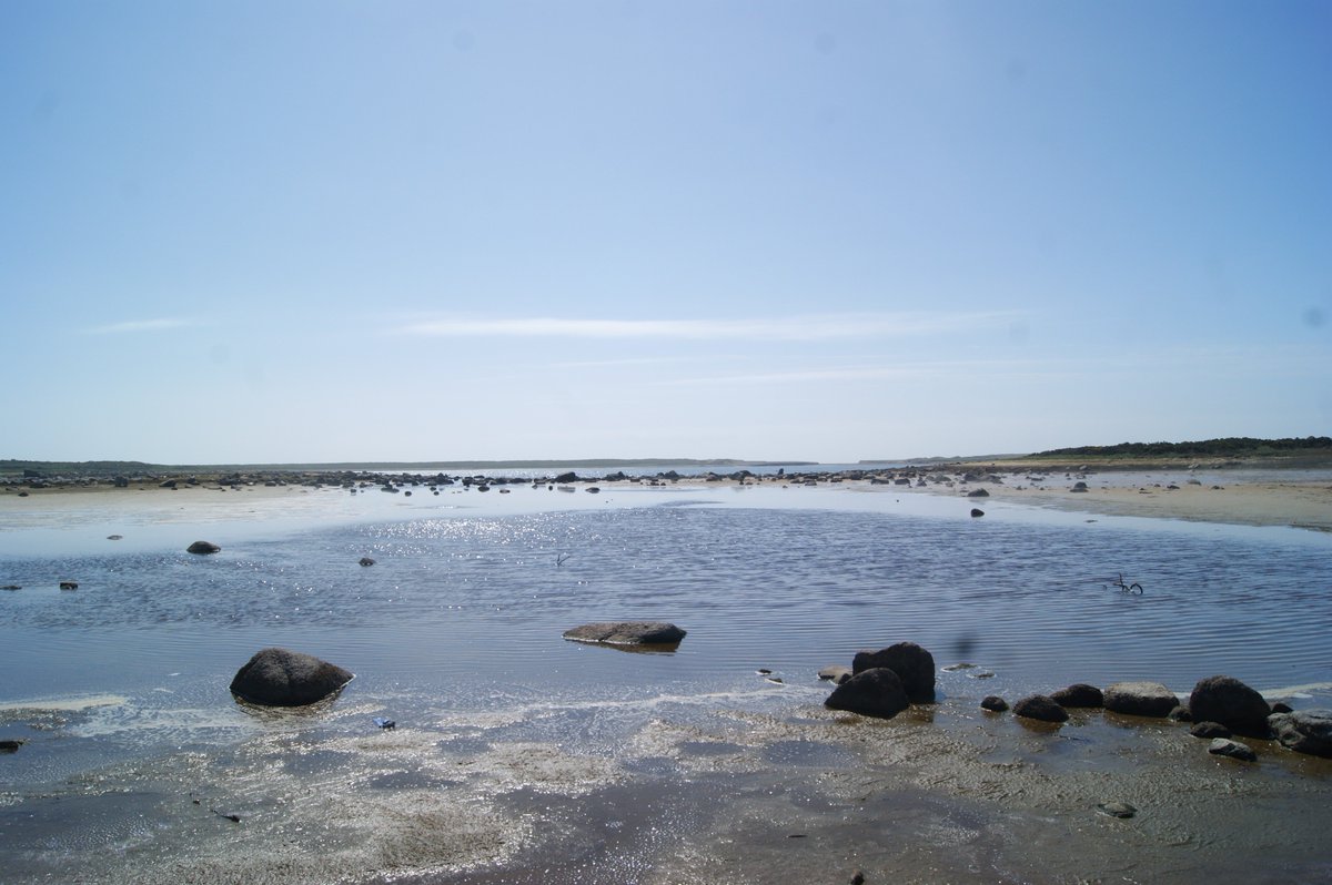 Lady's Island Lake after it was cut, makes for great walk. #wexford #walking #Hiddengems