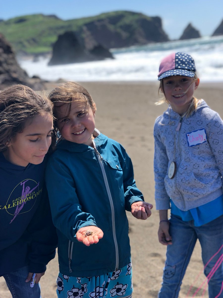 We love our partnership with @NatureProject! 85 youth from @ChinatownYMCA, @PresidioYMCA, @MissionYMCA, and @pointbonitaymca worked with Nature Project mentors, learning teamwork, communication, & simply had fun outside! thenatureproject.org/single-post/20… #everykidoutdoors #ymcasf