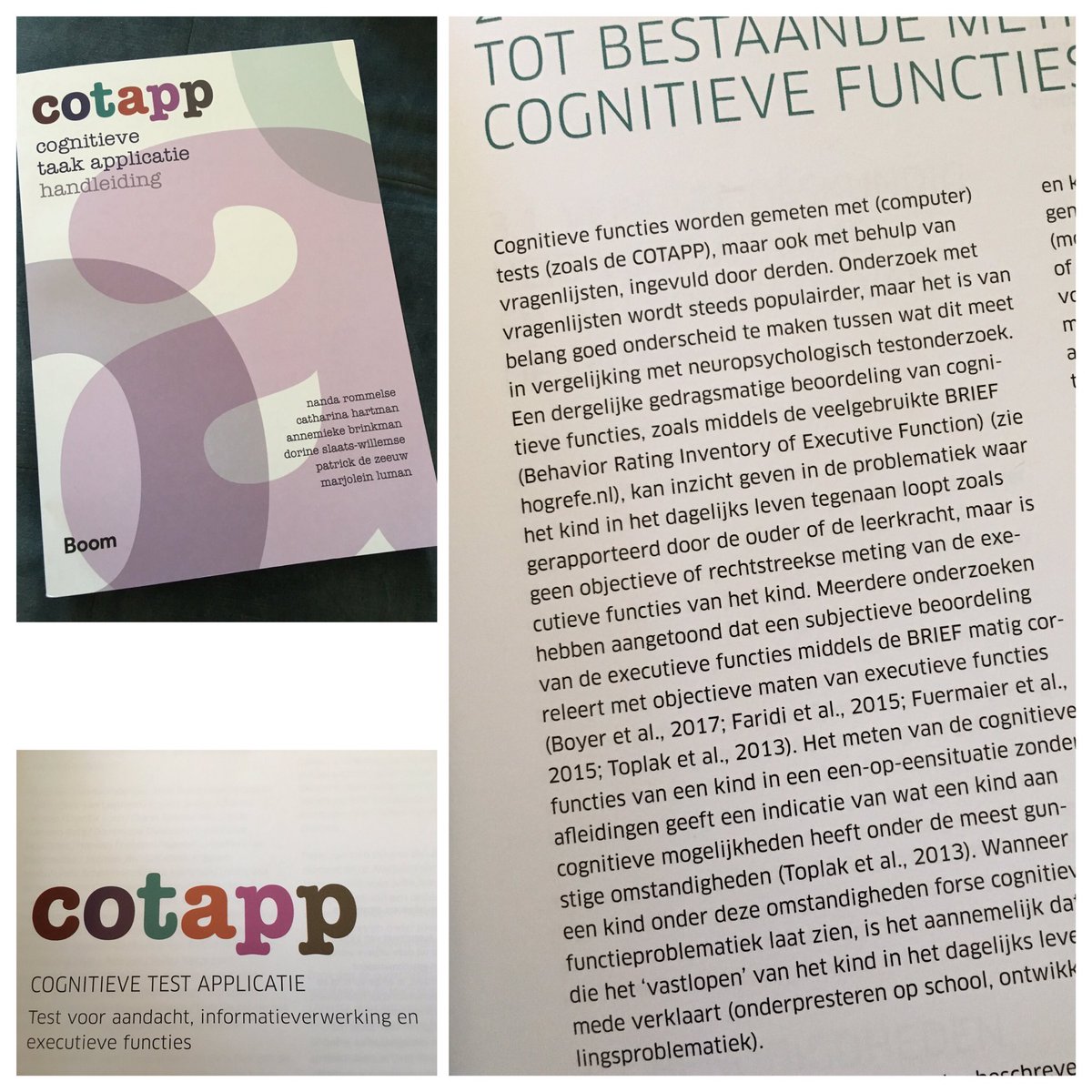 GekeMaes's tweet photo. Een mooie aanvulling van onze #testbatterij!
#COTAPP #test voor #aandacht, #informatieverwerking en #executieve #functies.
#begaafdheidsonderzoek #orthopedagogiek https://t.co/Lp3YjSwyJG