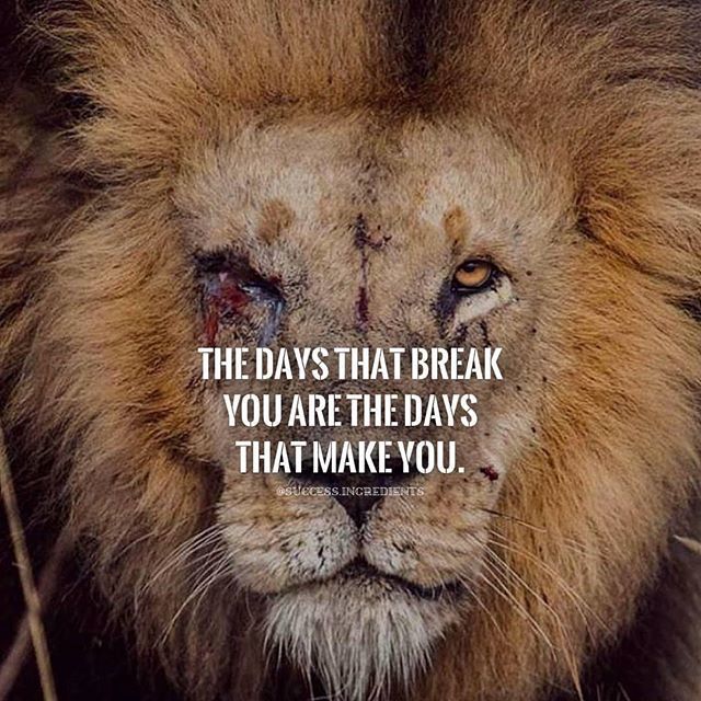 💯💯