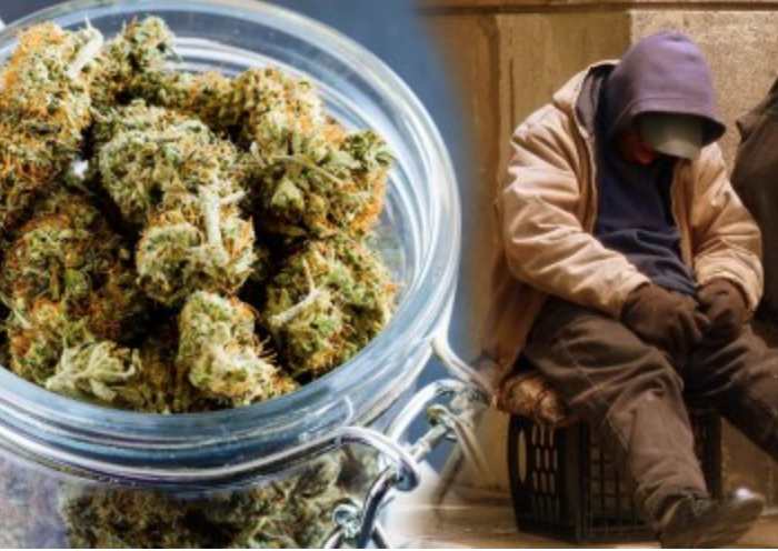 Leafbuyer's tweet photo. Aurora, a City in Colorado To Use $1.5 Million From Pot Sales To Feed, House Homeless
https://t.co/Ikrwwiypof
https://t.co/G8Bu0N28IQ https://t.co/DlX7tbOThd