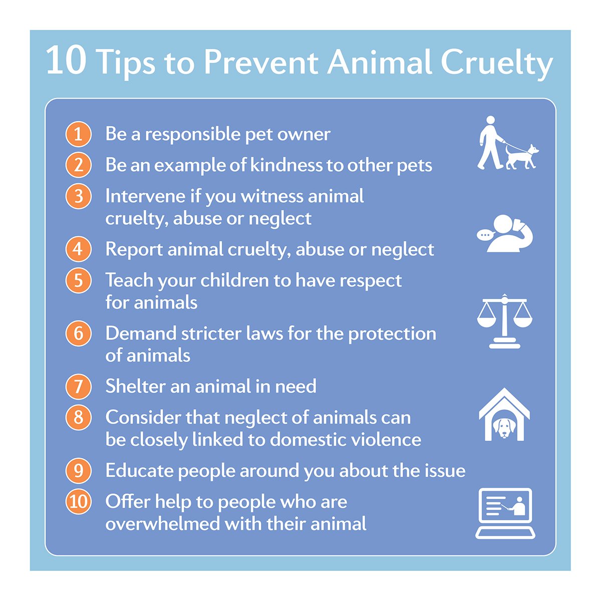 Top 115 Ways To Prevent Animal Abuse