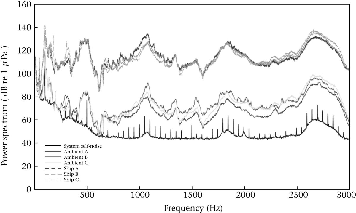 AnimBehSociety's tweet photo. Anthropogenic noise disrupts group formation in hermit crabs! Out now from @svenjatidau and @mark_briffa in Animal Behaviour: https://t.co/hzSEbe9w1Y https://t.co/5wP2GUZqVo