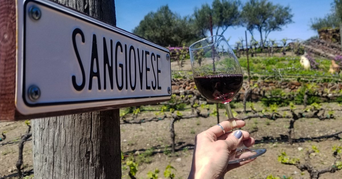 Sometimes you need to just stop and smell the Sangiovese. We can't wait for more of this wine to come back into our (and your!) lives later this year!