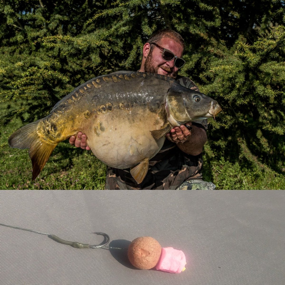 atomictackleuk's tweet image. After a couple of blank nights Nic decided on a change of tactics. The pop ups came off &amp;amp; new spots found.

The changes certainly look like they paid off!

Size 4 Claws tied line aligner style, RockBottom rig sleeve and 35lbs Jel-E-Wyre completing the successfull set up. #NoHype