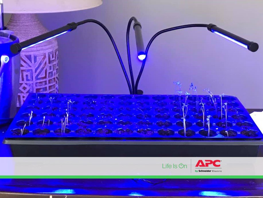 APC Smart Surge is the perfect solution to set your UV indoor lights on a schedule or turn on remotely, from anywhere on cloudy days!
#LifeIsOn #CertaintyInAConnectedWorld #Smarthome #Smartplug
amazon.com/APC-Alexa-Prot…