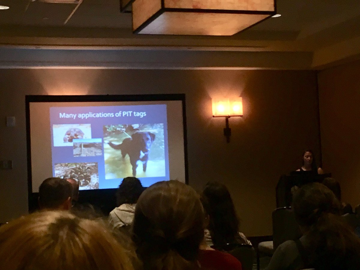 jayhawktiemann's tweet photo. Alison Stodola of the #INHSMollusk lab is discussing the efficacy of @BiomarkInc’s floating antenna compared to the hand-held readers when sampling translocated #FreshwaterMusssels
#FMCS2019 https://t.co/C2vw33nz4O