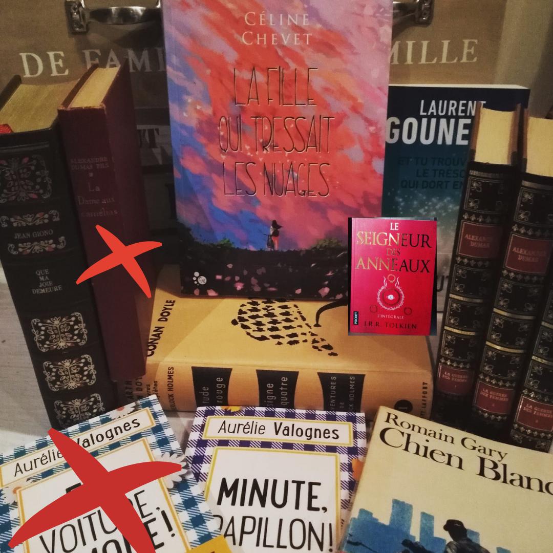 LDemodes's tweet image. Ma PAL se réduit à pas de fourmis ! J'ai quand même réussi à terminer "En voiture Simone" d'Aurélie Valogne, et "La Dame au Camélias" qui fera sans doute l'objet d'un futur article sur mon blog 😉 Je poursuis "Le Seigneur des Anneaux" qui reste mon fil rouge...😁 #pal #tolkien