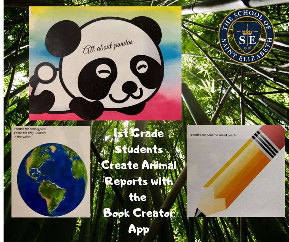 steschool1's tweet photo. 1st grade students use @BookCreatorApp to create their animal reports! 
@NCEATALK @diocesemetuchen #FutureReadyNJ https://t.co/YMN76lTuPZ