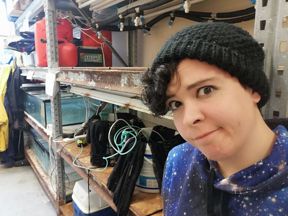 Fucus_Whisperer's tweet photo. #Fucoids set up real comfy. Facial contortions at maximum. Beanie angled precisely right.

😎

#PhDChat https://t.co/iGk8SURkKs