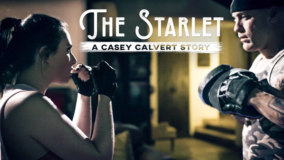 Tw Pornstars Pure Taboo Twitter Caseycalvertxxx Stars As A Bratty Hollywood Actress In 4