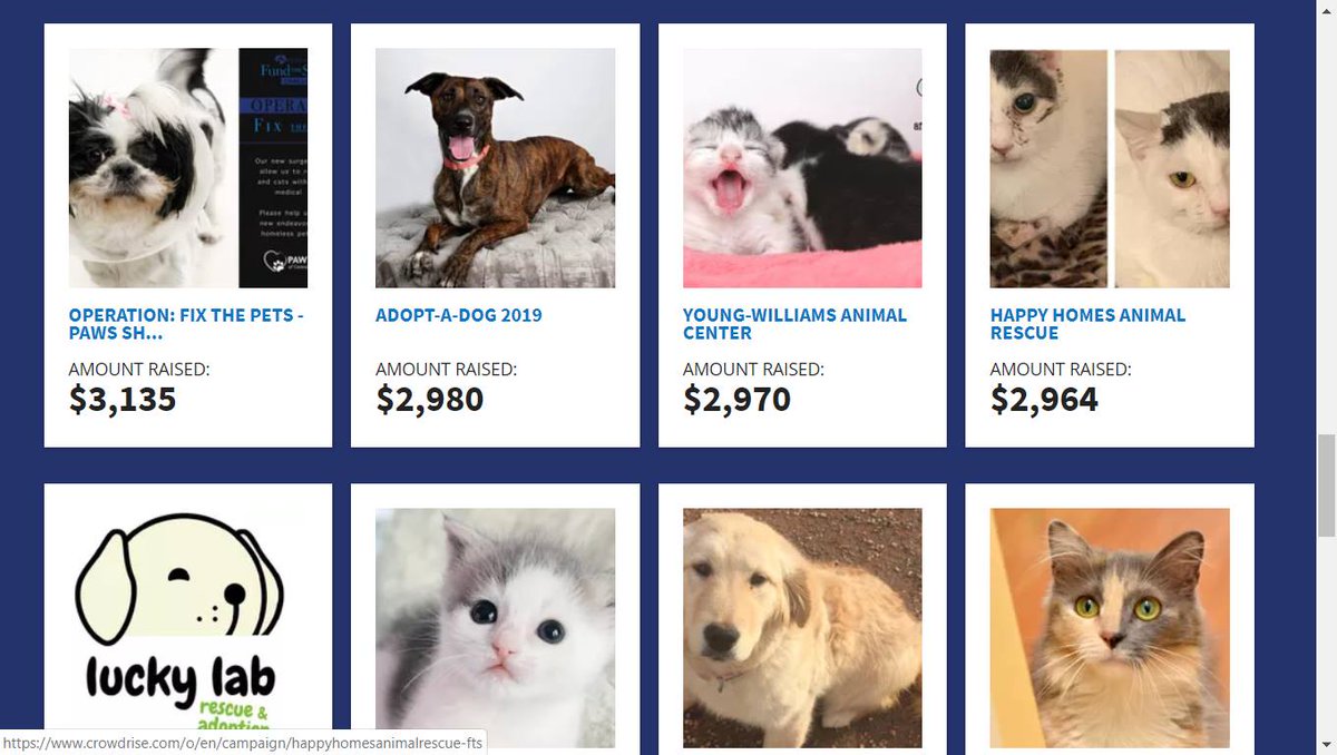 If we get $36 donation before 1:30 today, <a href="/HappyHomesInc/">Happy Homes (HHAR)</a> gets an additional chance at $3000 bonus grant! PLEASE help - DONATE &amp; RT.
crowdrise.com…/happyhomesanimalresc…/mideymateu
#cats #CatsOfTwitter  #catsofinstagram #RESCUE #NYCACC