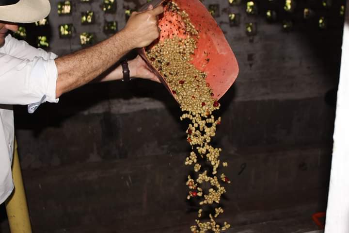 TraviesaCoffee's tweet photo. How we feel about good coffee can not be put into words🤤. Each process goes through quality reviews to ensure the best product. Only Traviesa Coffee can offer you the best Colombian coffees and the true Direct Trade. We are located directly in the origin.🇨🇴🤠☕ 
#specialtycoffee https://t.co/FnC5quI6Zm
