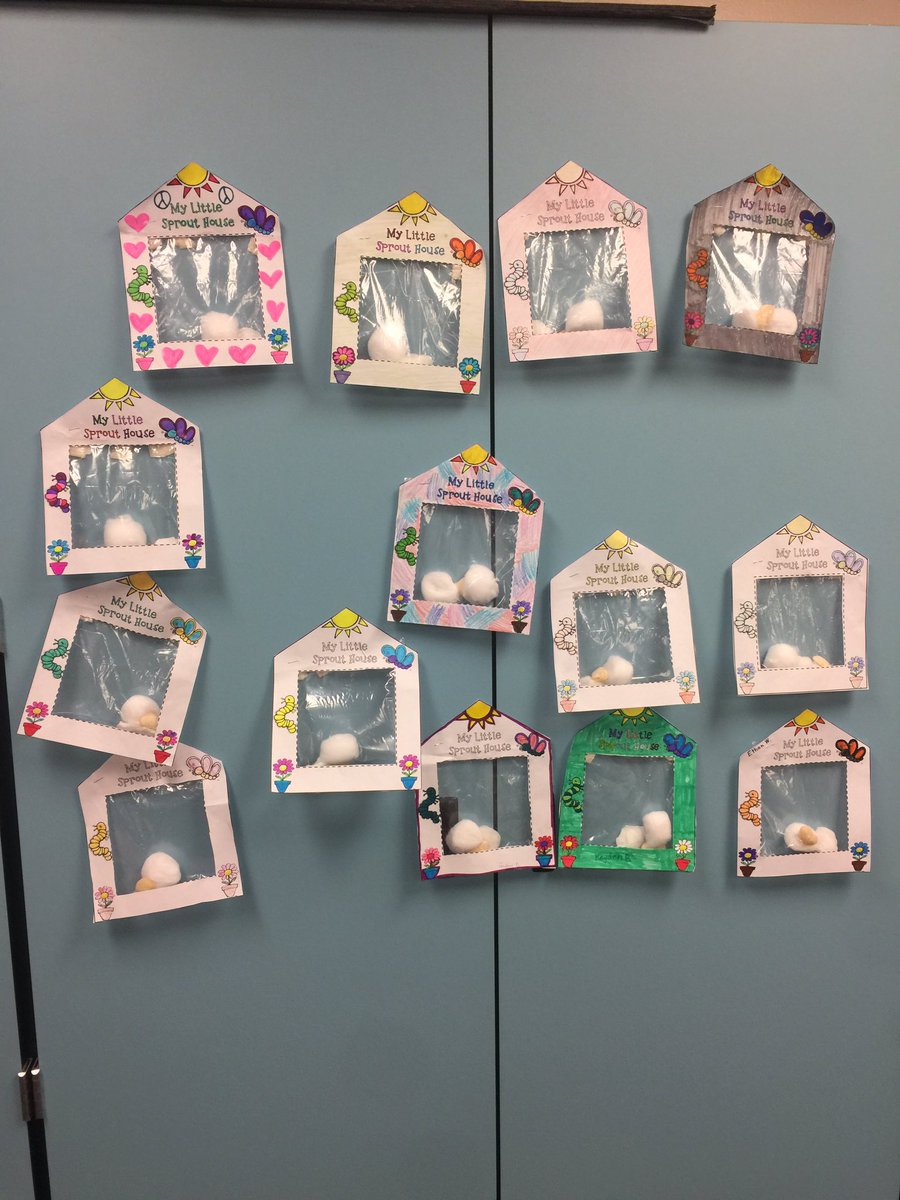 Life cycle sprout houses! #BeTheLegacy <a href="/HayesHawks/">Jeanette Hayes Elem</a> <a href="/JHE4th/">JHE 4th Grade</a>