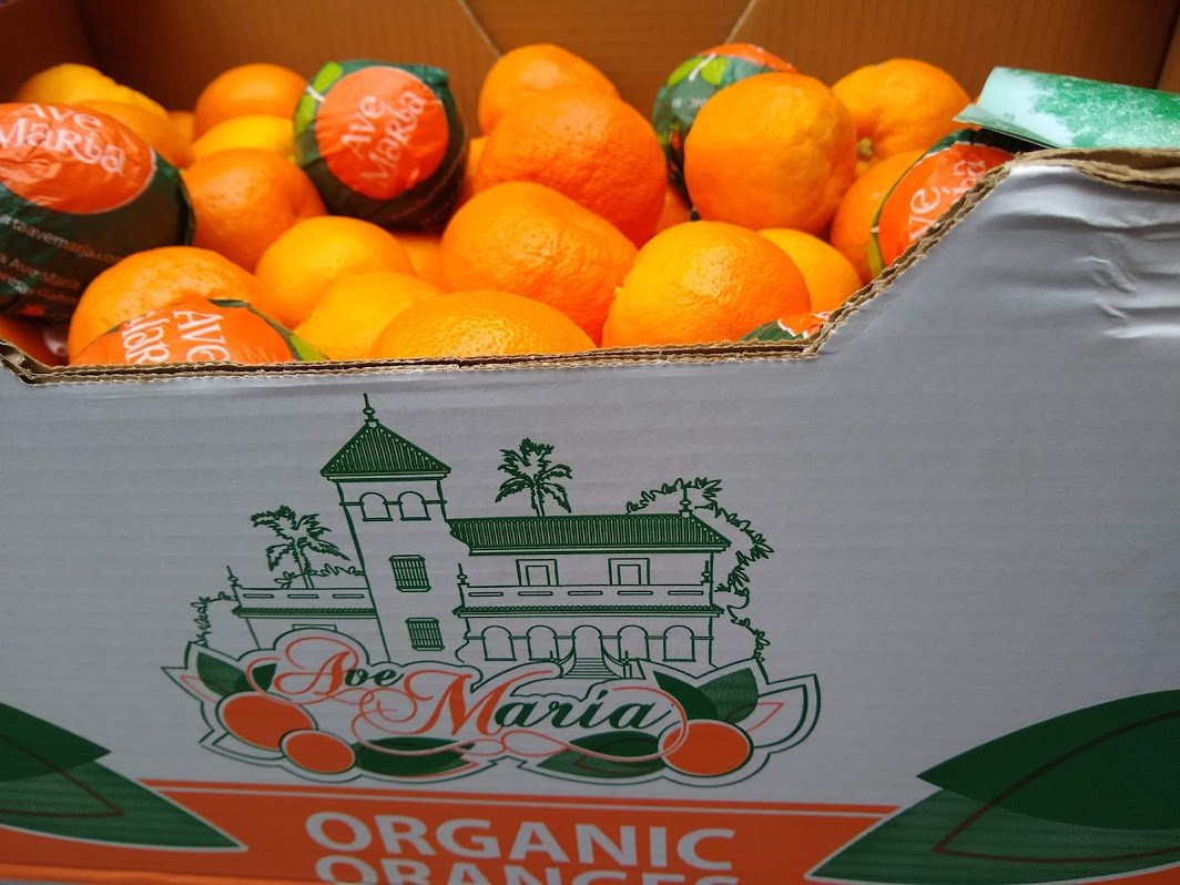 Calling all #Marmalade Fans: we have an exclusive offer on the famous Ave Marie Seville oranges. Full boxes and smaller quantities available, contact us to place an order: wildandfruitful.co.uk/shop/ave-maria… … <a href="/MarmaladeAwards/">Marmalade Awards</a>