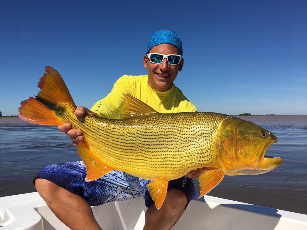 matiasjalilsn's tweet photo. Grandes dorados de otoño en #sannicolasdelosarroyos #goldendorado #catchandrelease #flyfishing #baitcasting #matiasjalil https://t.co/k4wJSZhprq