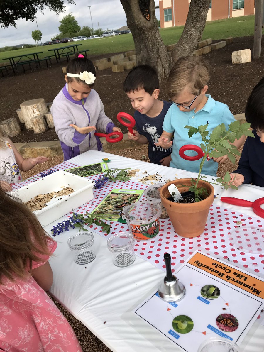 kelliepeden tweet media